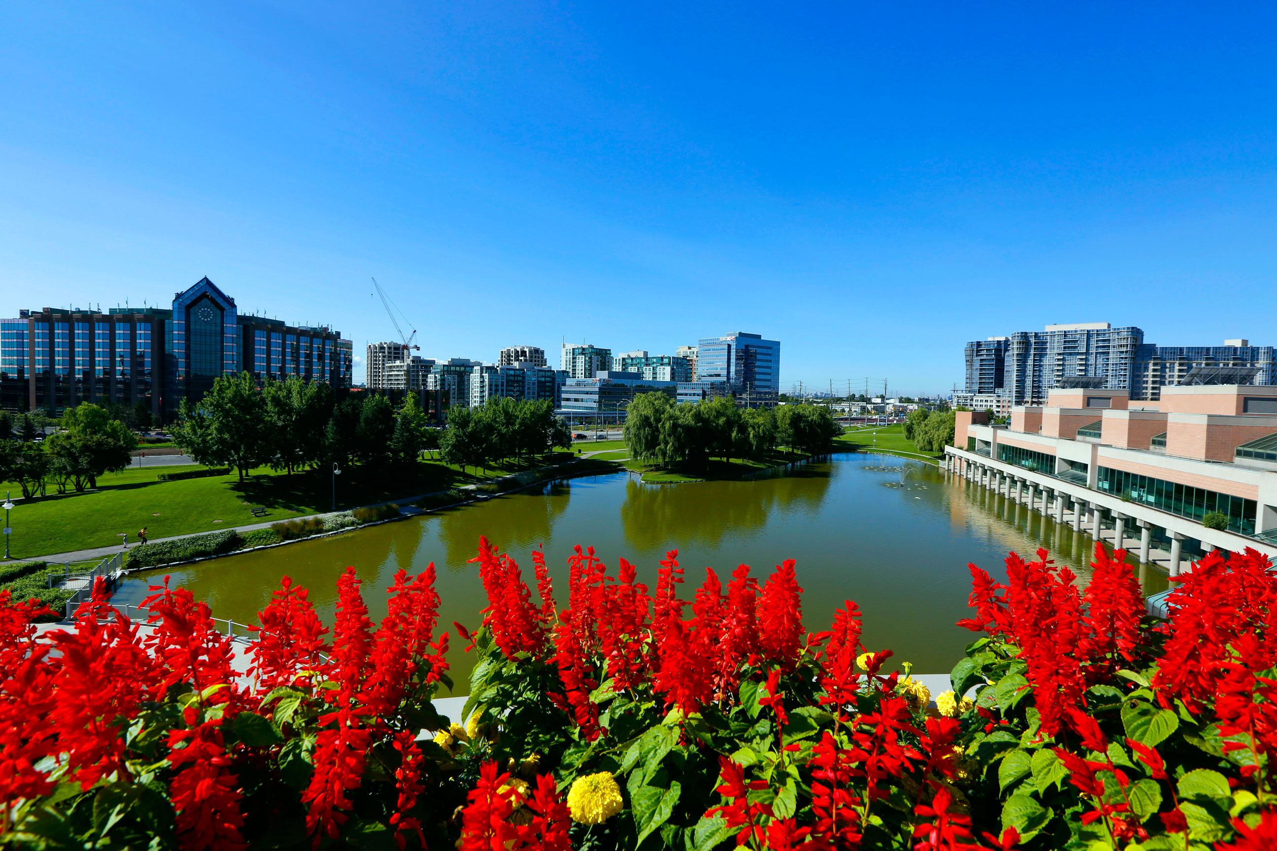 graffiti-removal-markham